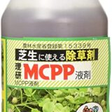 芝生の中のドクダミを一網打尽 しつこいドクダミは除草剤で楽に除去しよう おっさんずログ